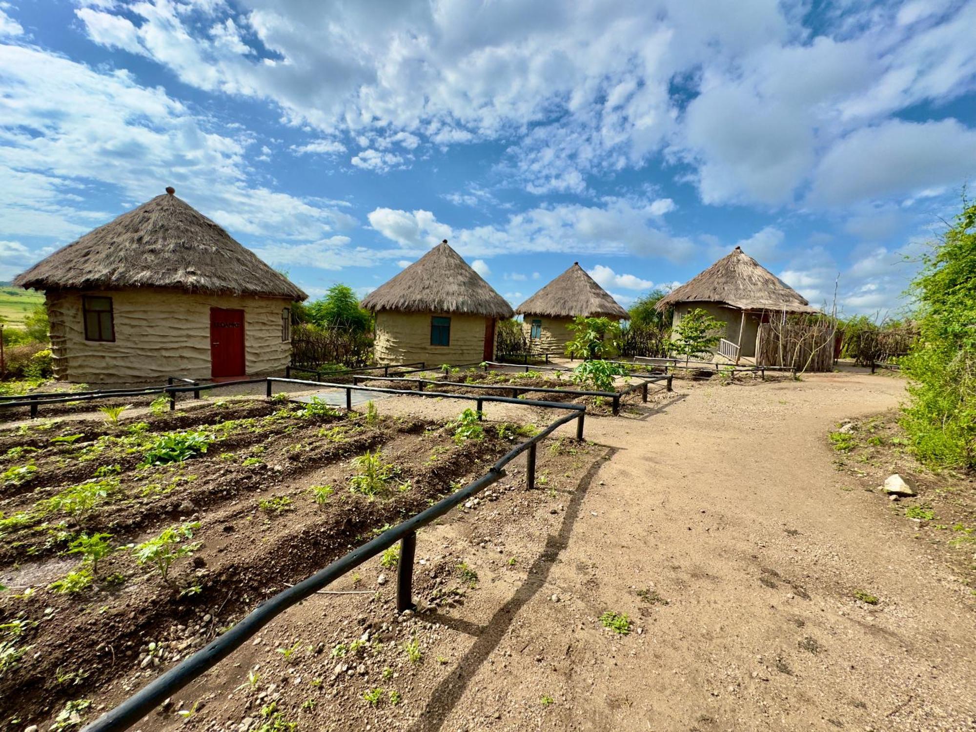Maasai Eco Boma & Lodge - Experience Maasai Culture Makuyuni Dış mekan fotoğraf