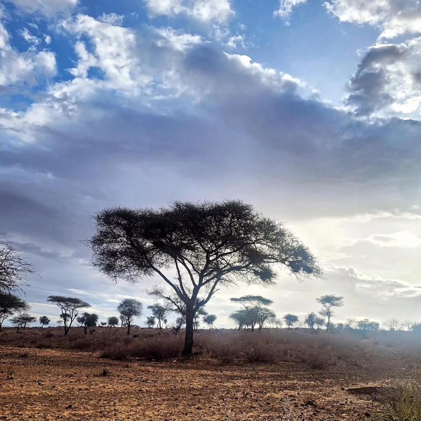 Maasai Eco Boma & Lodge - Experience Maasai Culture Makuyuni Dış mekan fotoğraf